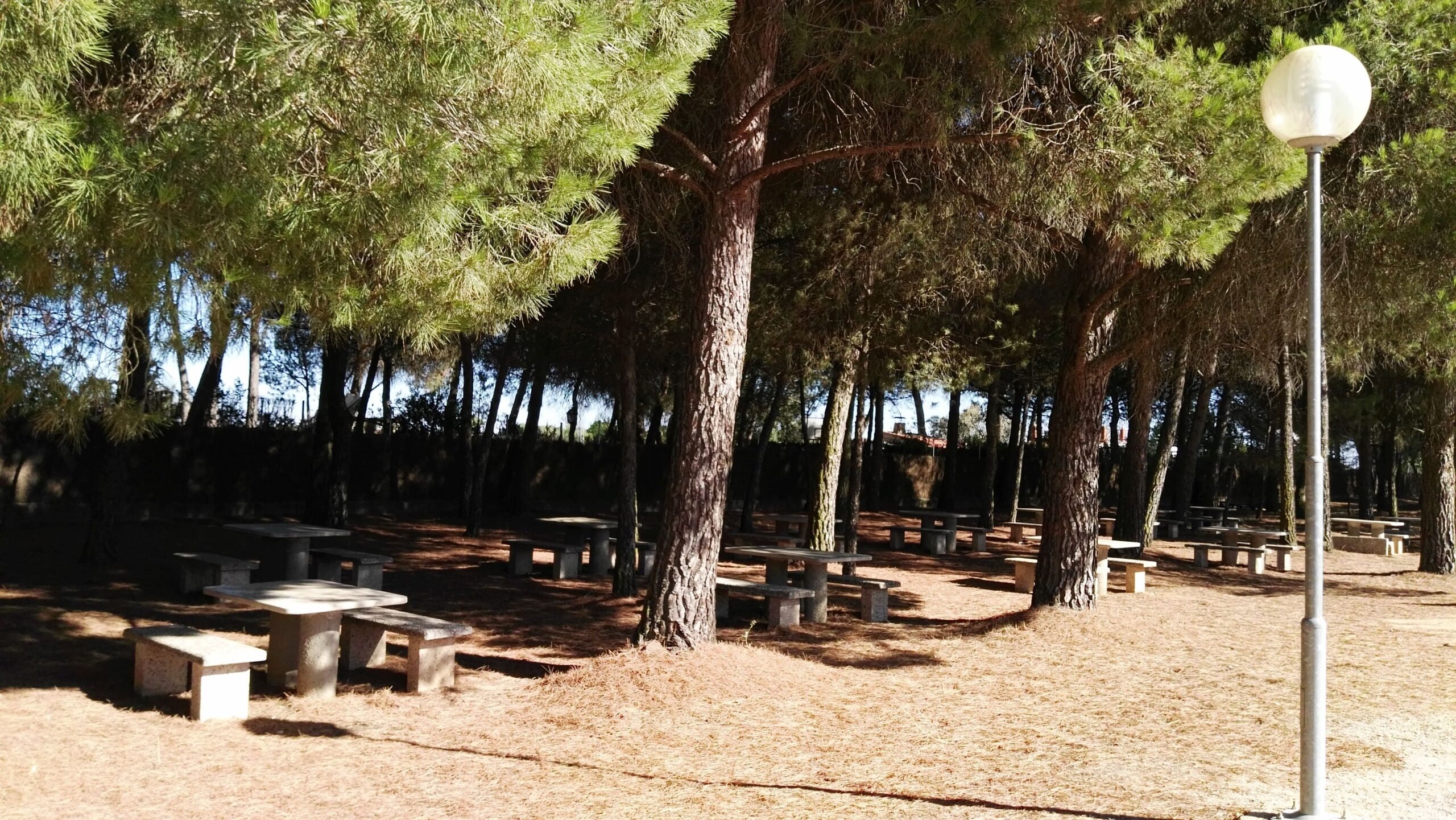 portfolio-03 Imgi 23 IMG 20160824 102058 Scaled 1