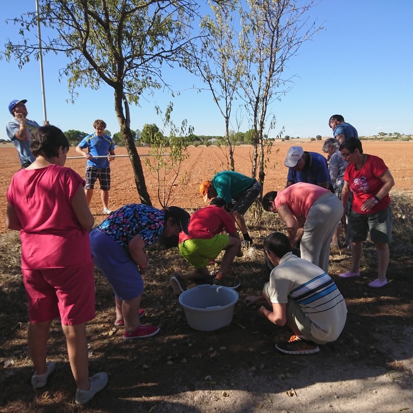 services-10 Imgi 4 Diseno Sin Titulo